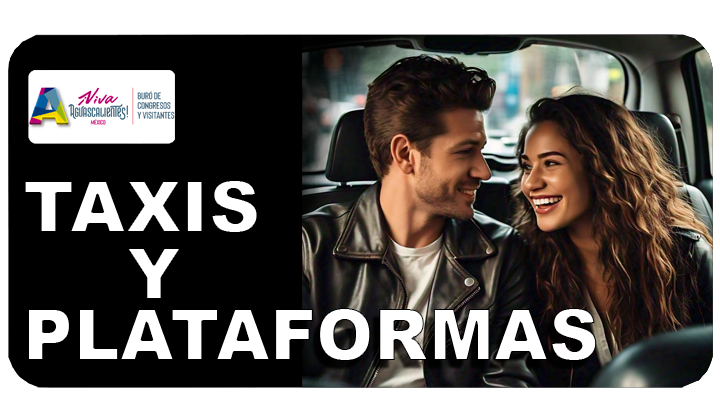 Taxis y Plataformas