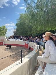 Cortijo Taurino - Vista 2