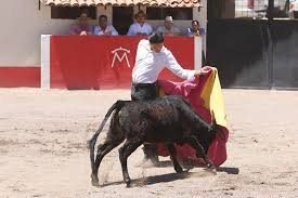 Cortijo Taurino - Vista 3