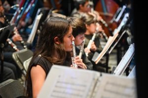 Casa de Música - Vista 5