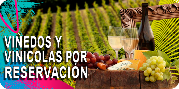 Viñedos y Vinicolas por Reservación